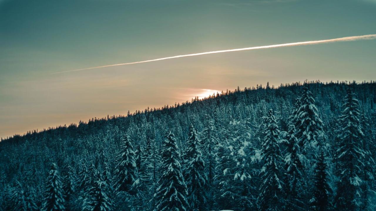 Appartement Ideal Pour Ete Et Hiver, Situe Au Pied Des Pistes De Ski Et Des Sentiers De Randonnee Prémanon Kültér fotó