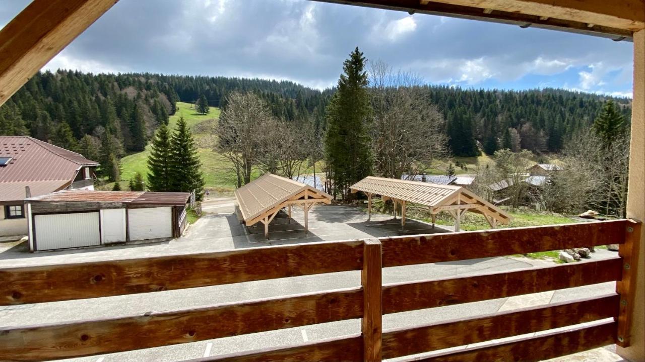 Appartement Ideal Pour Ete Et Hiver, Situe Au Pied Des Pistes De Ski Et Des Sentiers De Randonnee Prémanon Kültér fotó